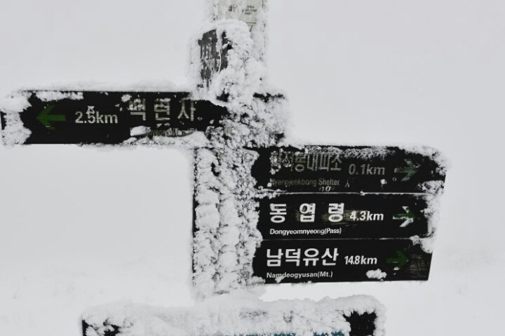 카페 사랑 이미지