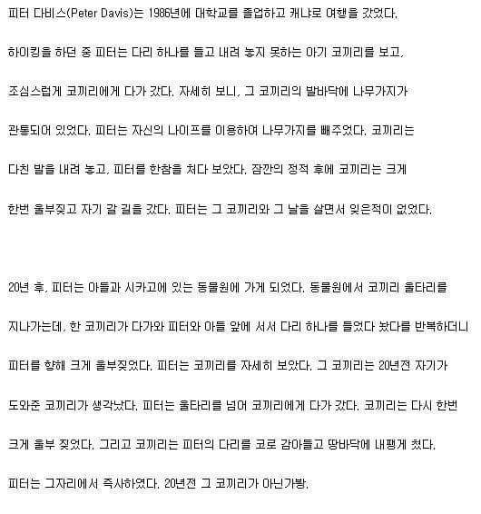 코끼리의 기억력.jpg | 인스티즈