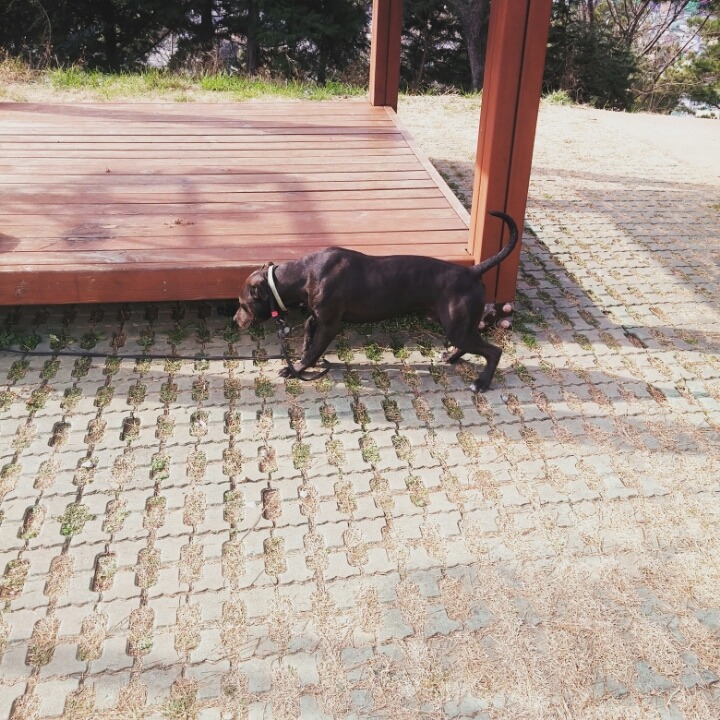 광남 이미지