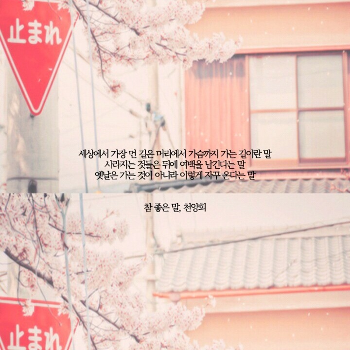  네 안에서 부는 바람에 너는 너무 오래 흔들린다 | 인스티즈
