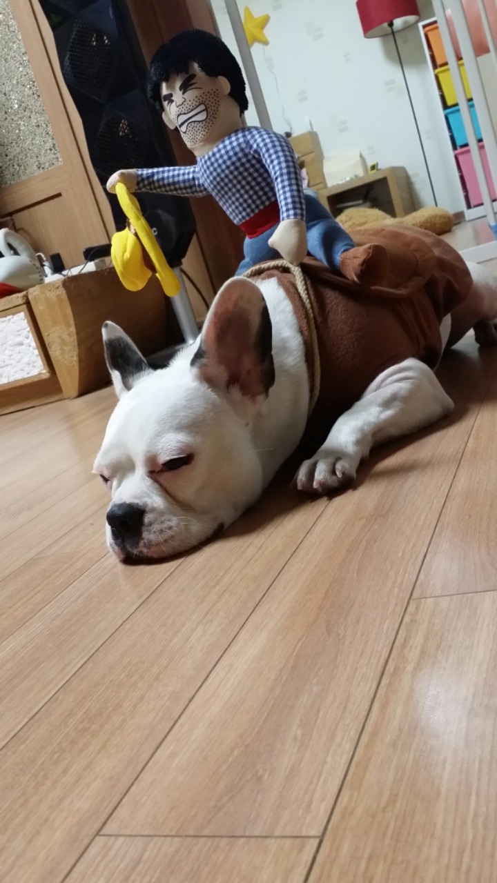 봉자 이미지