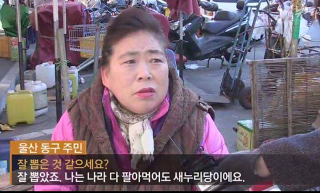 여전히 답없는 박근혜 콘크리트층 ^^ | 인스티즈