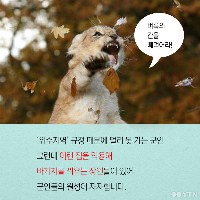 군인들 등는 나라 | 인스티즈