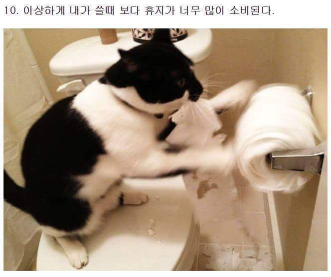 여자와 같이살면 생기는일들 | 인스티즈
