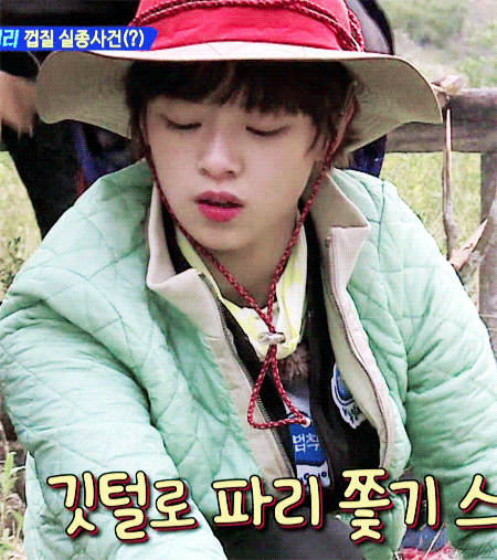 정글의 법칙 트와이스 정연.gif | 인스티즈