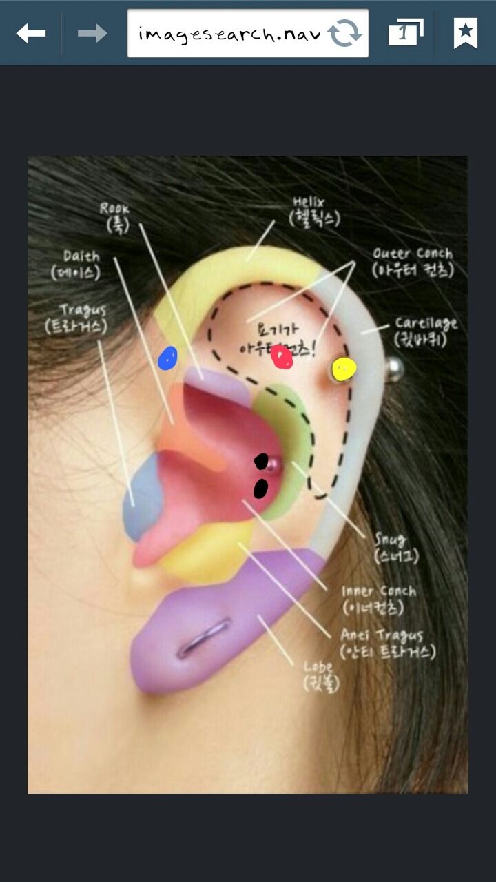 나피어 이미지