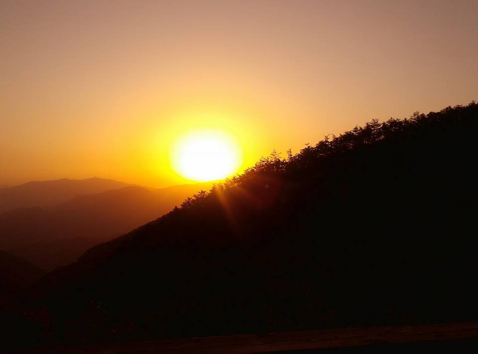 2260A24A590FD80E320CF0