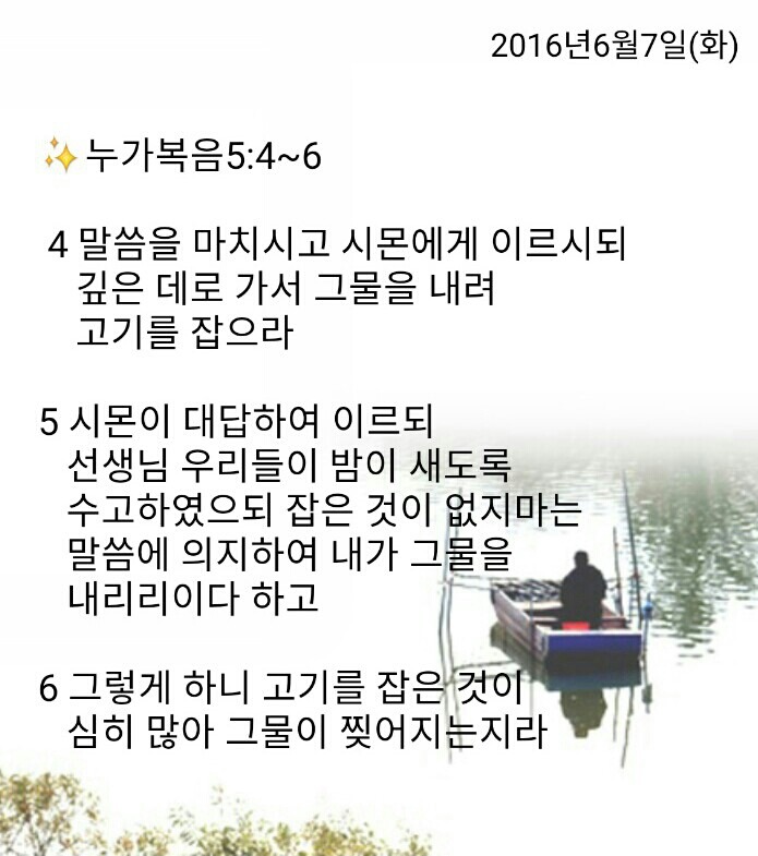 백향 이미지
