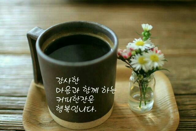 커라 이미지