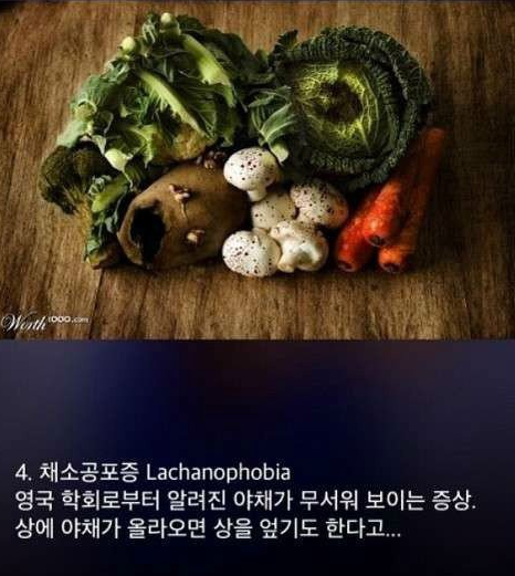 공포증 종류 | 인스티즈