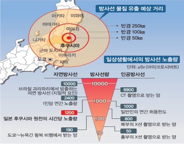 대정화금(주) 이미지