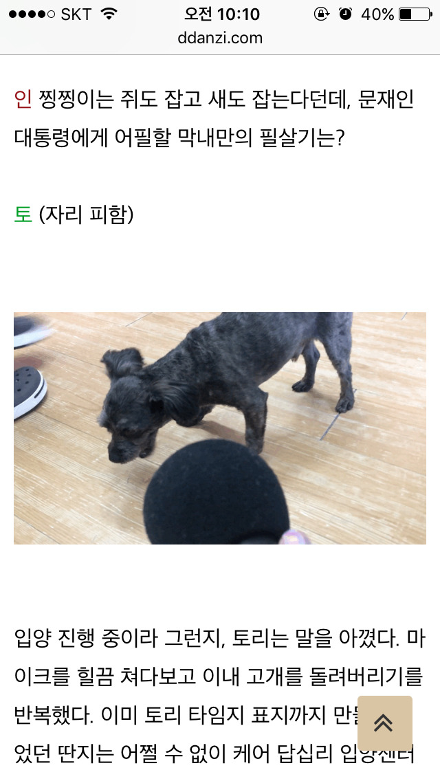 이너뷰] 문재인 정부의 막강 권력 : 퍼스트 독 토리 긴급 인터뷰 | 인스티즈