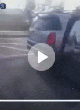 개 버리고 가는 견주.gif | 인스티즈