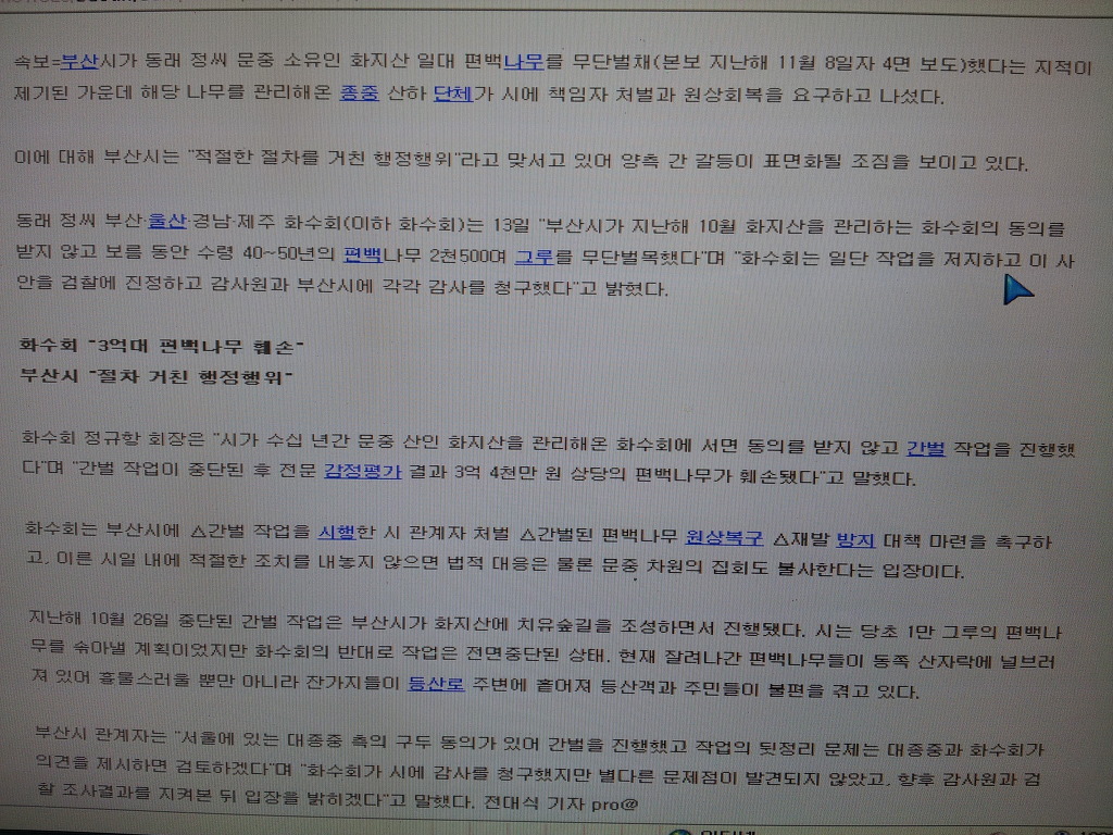 정편백 이미지