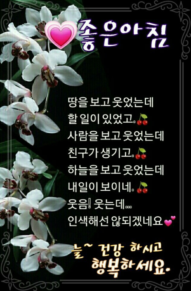 영자네 이미지