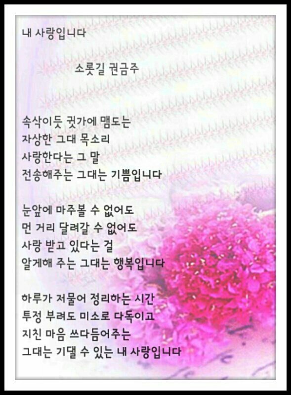 이쁜여우 이미지