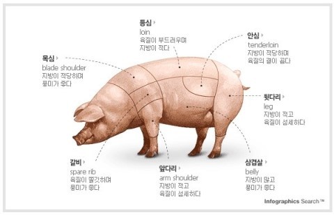 돼지짱 이미지