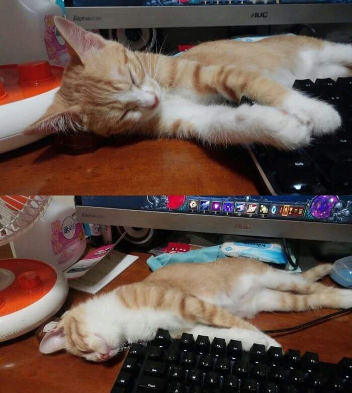 악마의 게임 디아블로3의 위력 | 인스티즈