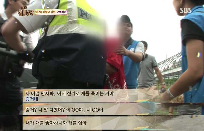 [TV동물농장] 동물농장에서 방송된 인천의 한 개 도축장의 현실.jpg | 인스티즈