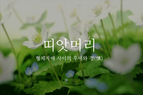 아름다운 우리말들 | 인스티즈