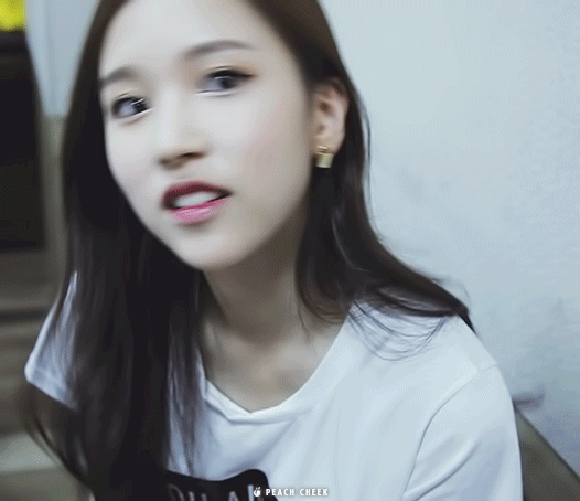 묘이 미나 | 인스티즈