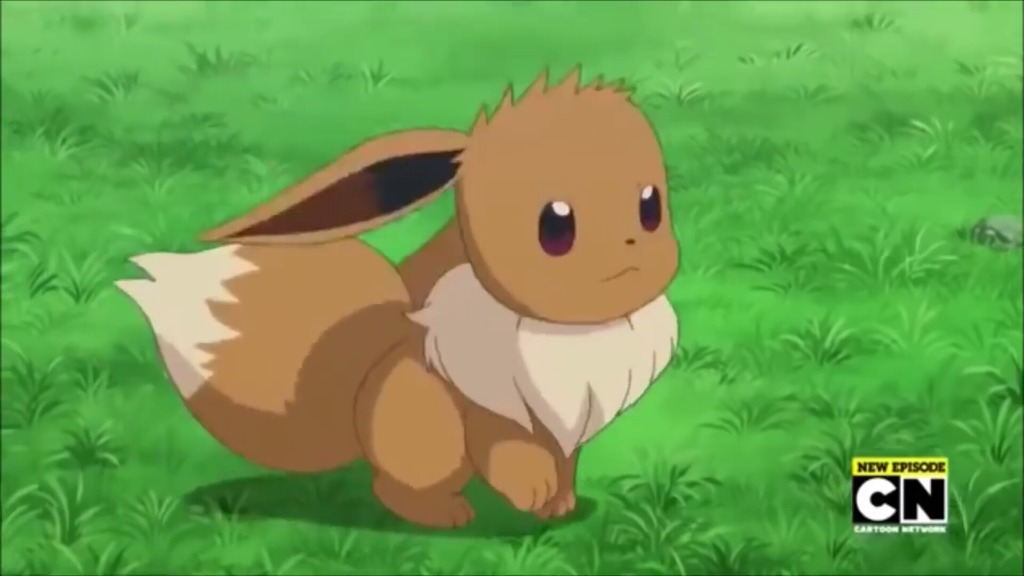 [포켓몬스터] 정말 충격적으로 예쁘고 귀여운 이브이 | 인스티즈