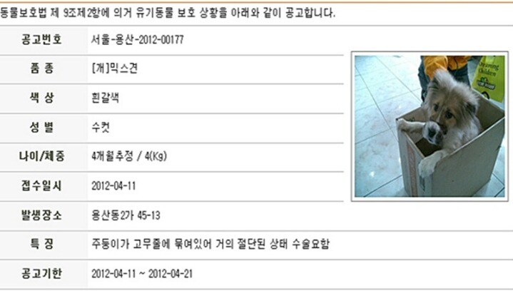 빈이네 이미지