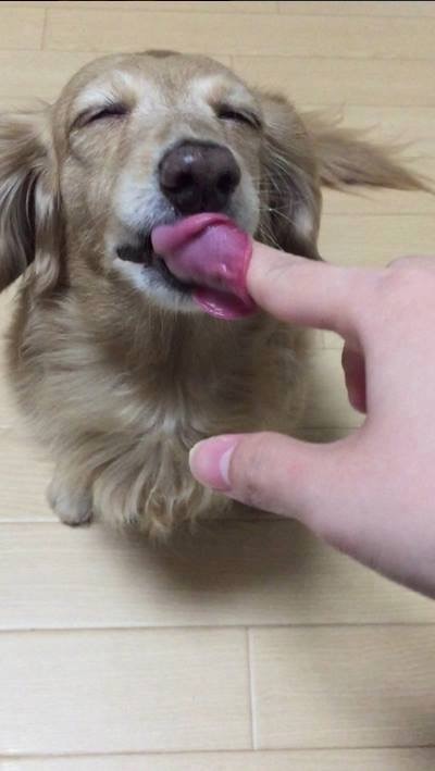 천국의 맛 | 인스티즈