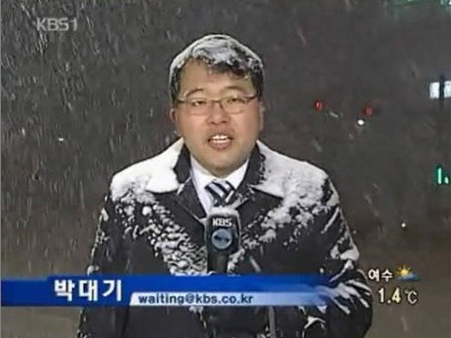 첫눈 기념 박대기 | 인스티즈