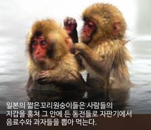 우리가 몰랐단 16가지 | 인스티즈