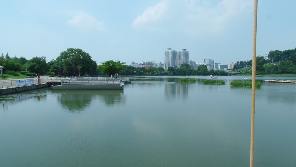 데이트 코스로 유명한 전주 덕진공원 예쁜 연꽃 풍경 | 인스티즈