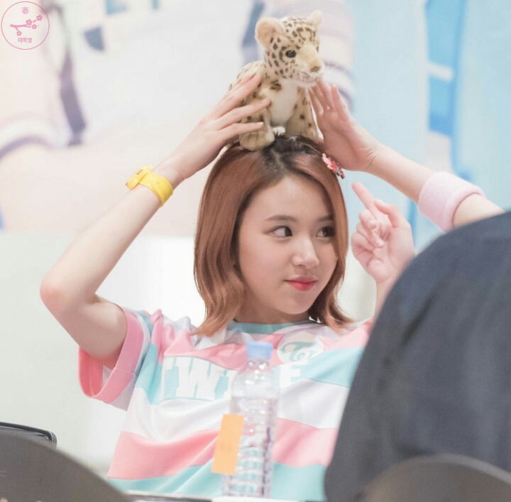 정말 귀여운 트와이스 채여이.jpgif | 인스티즈