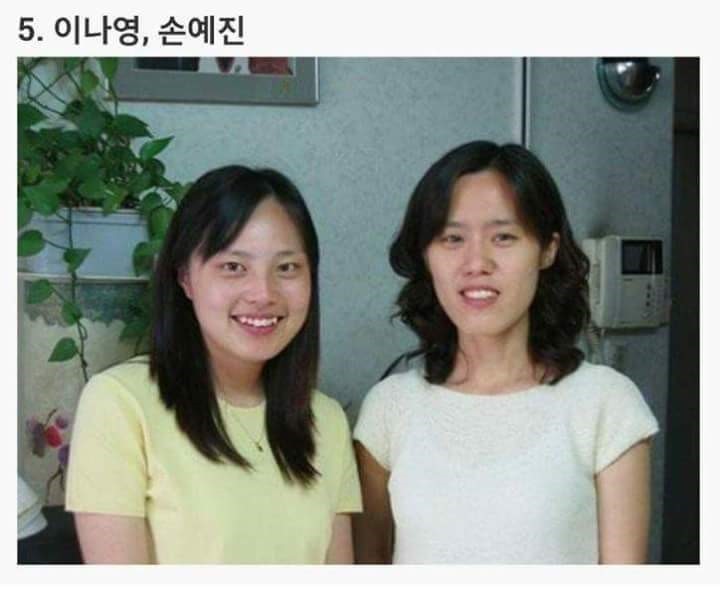 연예인 닮은꼴 최강자전.jpg | 인스티즈