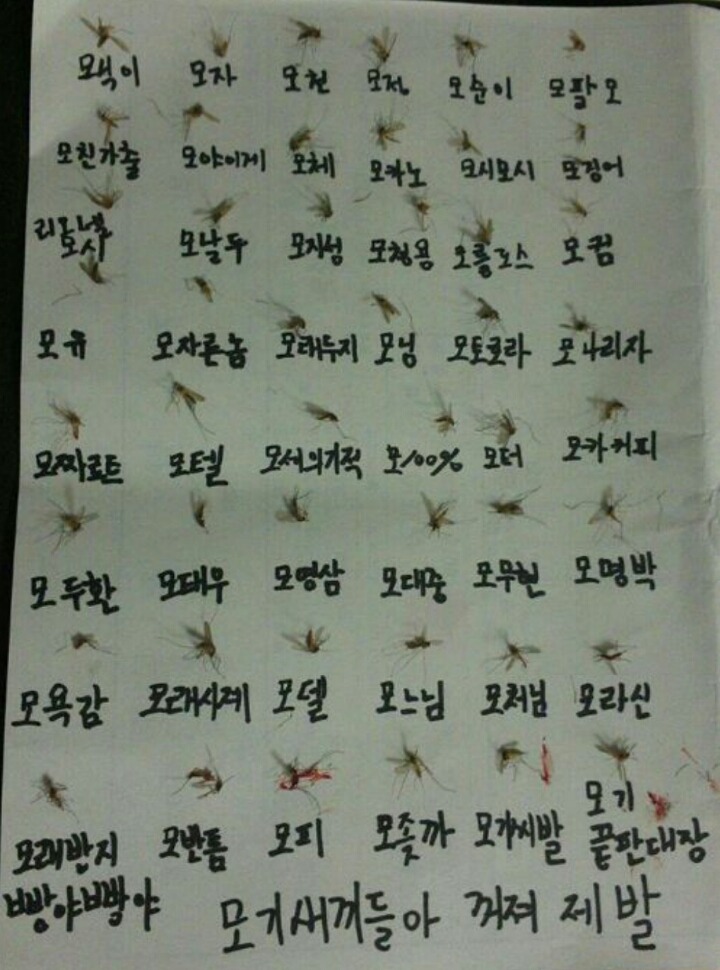 한컷) 모기 사형도감 | 인스티즈