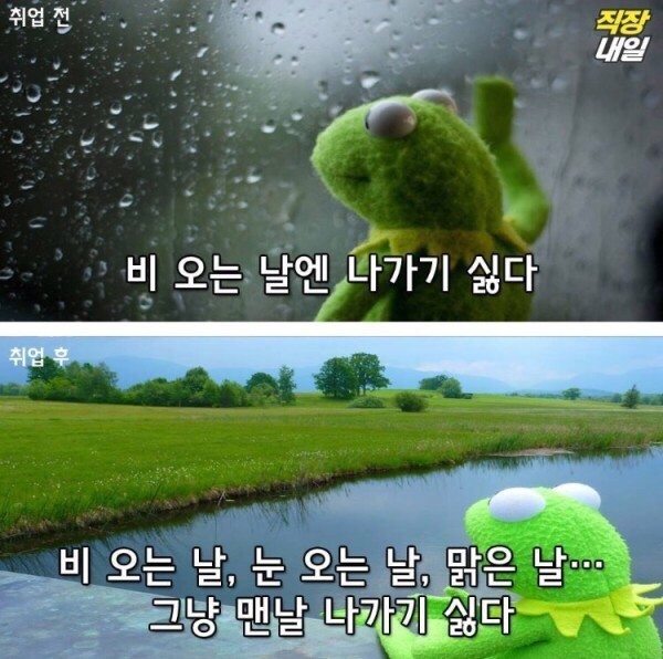 월요병걸린 쌍커들을 위한 취직전 vs 취직후 (개구리 귀여움 주의)-이미지 추가 | 인스티즈