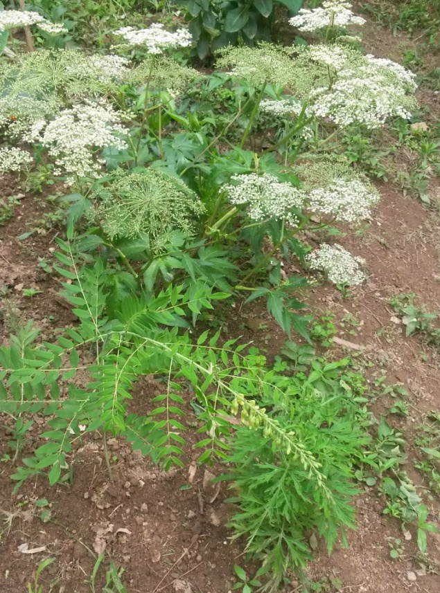 (주)서산 이미지