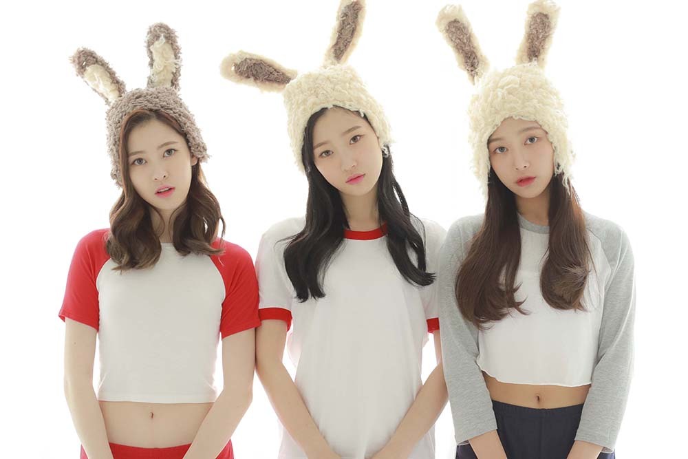 또 로타랑 작업한 다이아 | 인스티즈