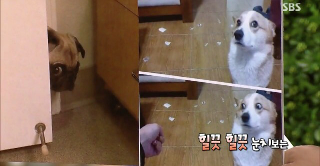 눈치없다 욕먹고 있는 장예원 아나운서 방송의 앞뒤상황 | 인스티즈