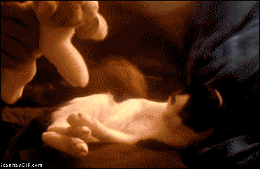 인형 좋아. GIF | 인스티즈