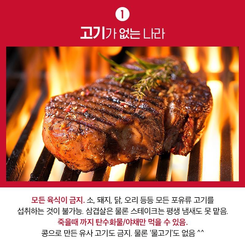 다음 중 무조건 한 나라에서 살아야 한다면? | 인스티즈