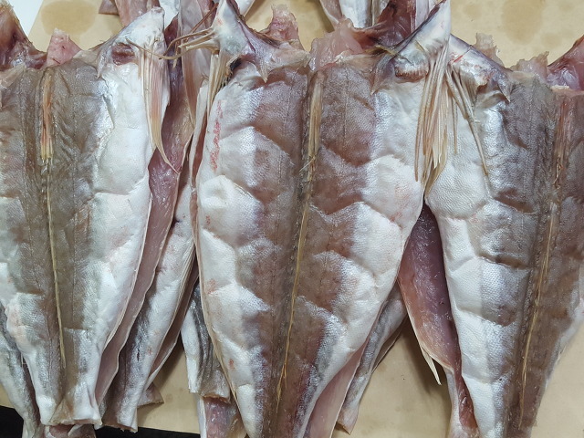 고운당 이미지