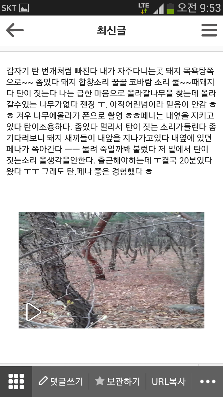 달자 이미지