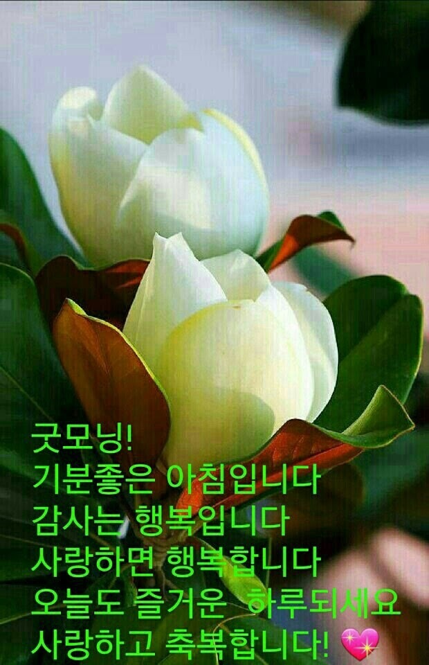 행복만들기 이미지