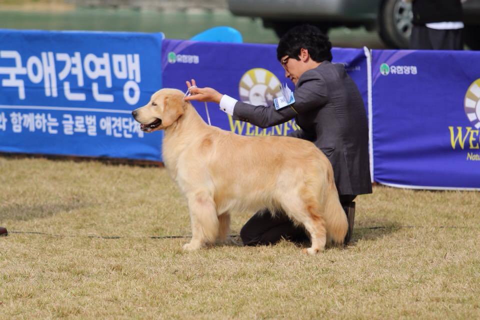 앨오너 이미지