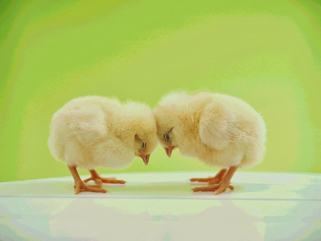 수도운수 이미지