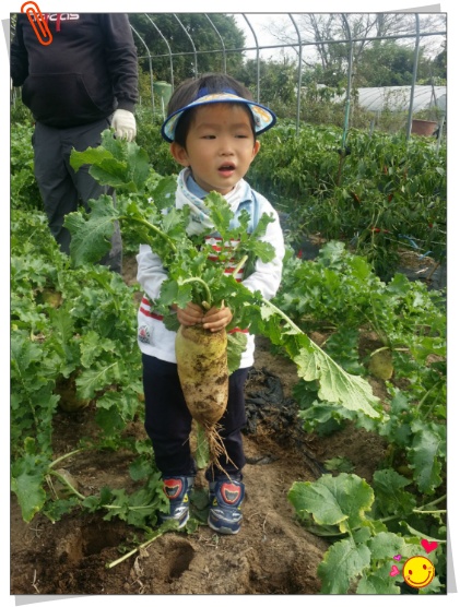 (주)엄마요리 이미지