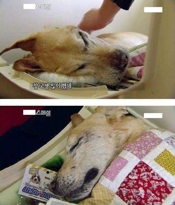 세상에서 가장 아름다운 이별 | 인스티즈