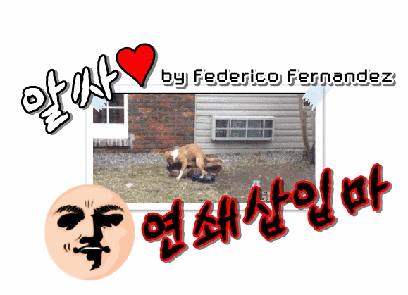 스티커 붙이는 양정원.gif | 인스티즈