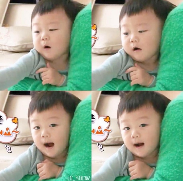 일요일 아침을 맞이하는 대박이.gif | 인스티즈