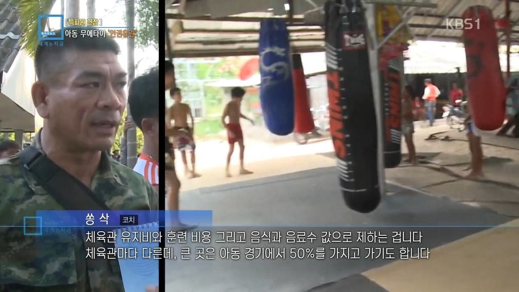 아동 무에타이 인권유린 | 인스티즈